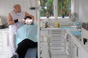 dentale dentista ungheria 2008